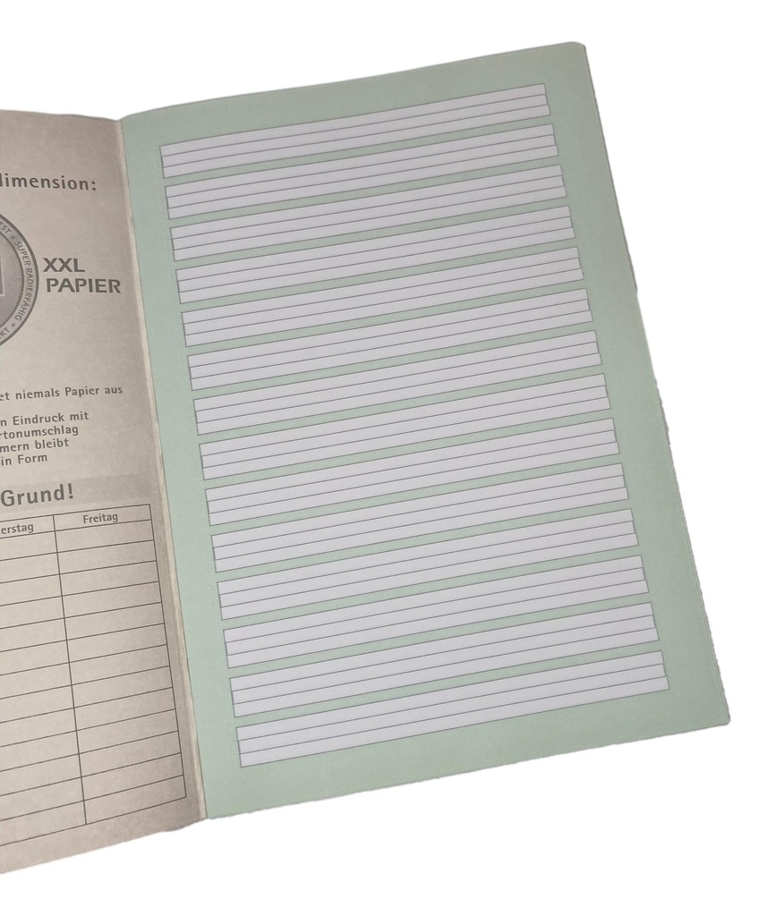 Greenpeace Schreibheft DIN A4 liniert Lineatur 1 Schulhefte Kinder Schule Neu